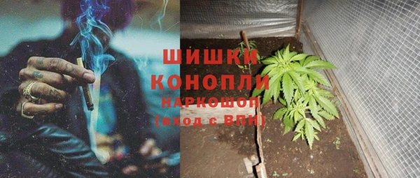 амф Балахна